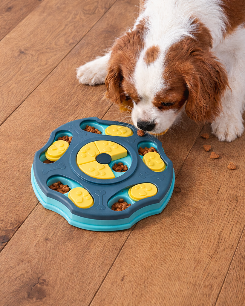 MindShift Puzzle Feeder