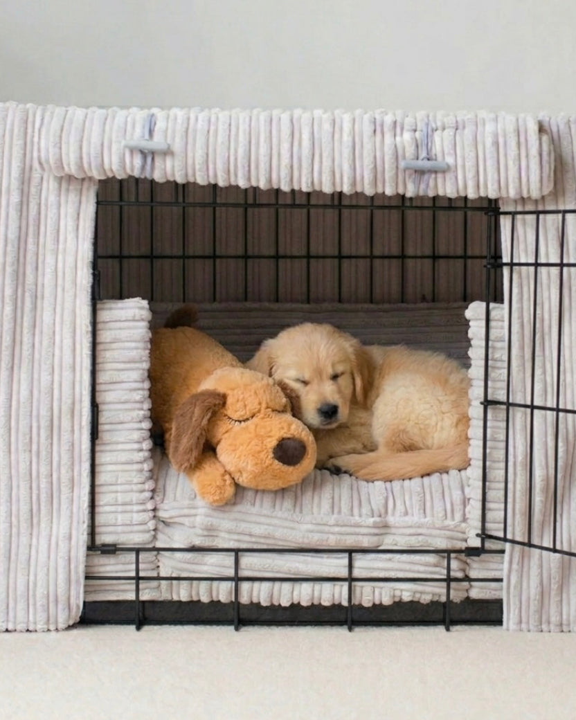 Heartbeat Comfort Teddy