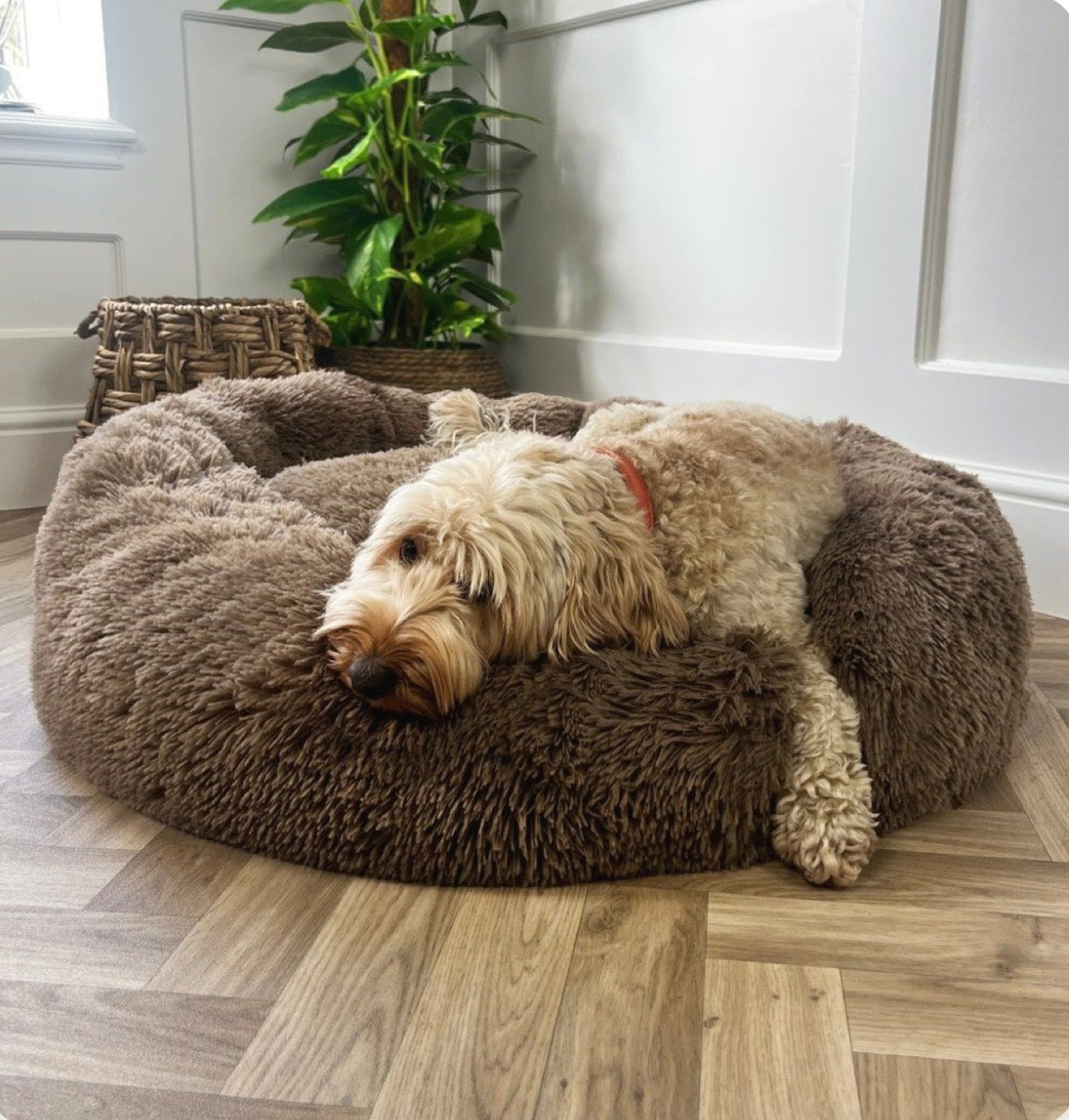 CloudNest Calming Donut Bed